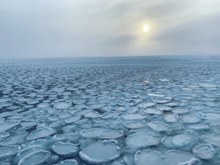 Pancake ice was forming during the cruise